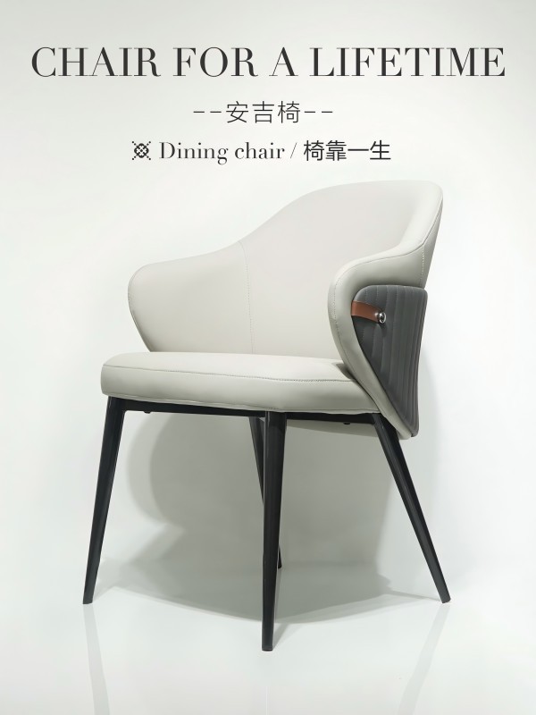 Dining Chairs